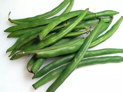 Guía Integral para el Cultivo Exitoso de Judías Verdes: Desde la Siembra hasta la Cosecha