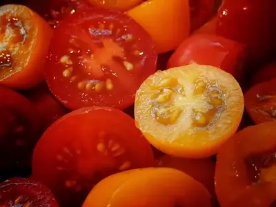 Cultiva Tus Propios Tomates: De Rodaja a Cosecha Abundante en Casa