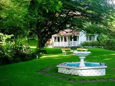 Diseño de Jardines para Principiantes: Creando un Oasis Personal
