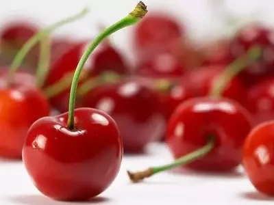 Cerezas y Picotas: Un Análisis Detallado de sus Distinciones
