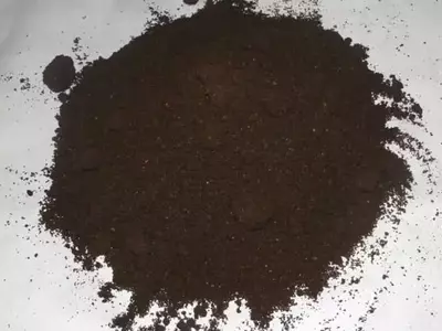 La Importancia de la Fertilización en el Cuidado del Bonsái: Guía Completa
