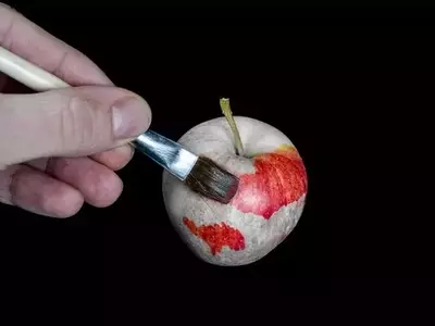 Dominando el Arte de Dibujar Frutas: Guía Completa para Principiantes