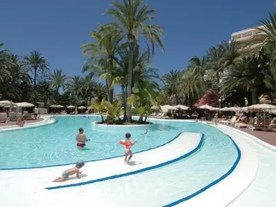 La Armonía Perfecta: Palmeras y Piscinas en el Diseño Paisajístico