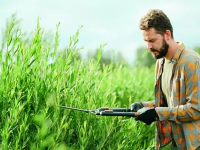 La Poda de Plantas: Arte, Ciencia y Beneficios para un Jardín Vibrante