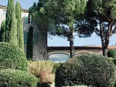 Boj: El Árbol Ornamental Resistente con Historia y Versatilidad