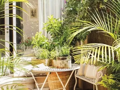 El Encanto del Almendro Enano: Belleza y Productividad en Espacios Reducidos