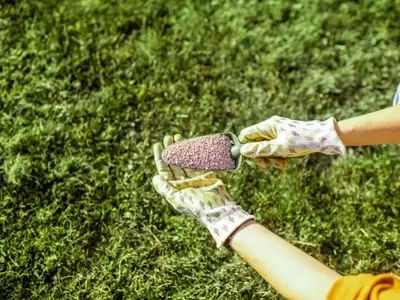Fertilizantes de Liberación Lenta: Innovación para una Nutrición Vegetal Sostenible