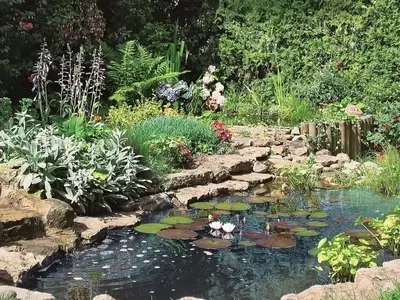 Cómo Diseñar y Construir un Estanque de Jardín Exuberante