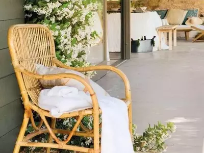 Diseño de Jardines: La Elegancia Atemporal de las Flores Blancas