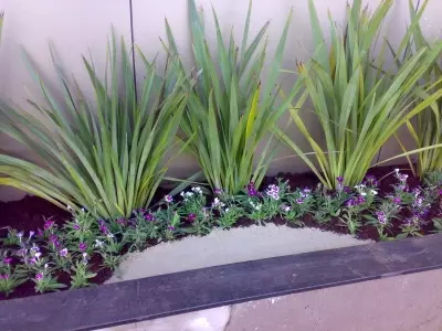 Phormium: La Versátil Joya Ornamental de Nueva Zelanda