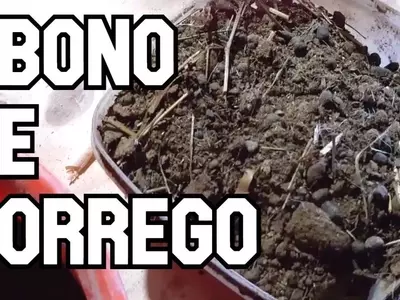 Estiércol de Oveja: El Oro Orgánico para tu Jardín y Huerto