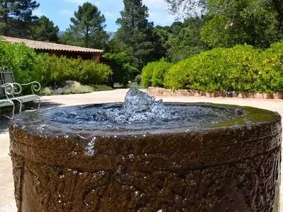 Fuentes Ecológicas y Decorativas: Armonía Acuática para tu Jardín