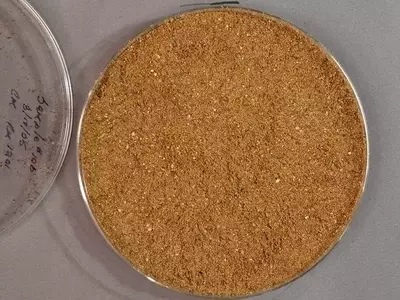Harina de Huesos: Un Fertilizante Orgánico Esencial para el Desarrollo Vegetal