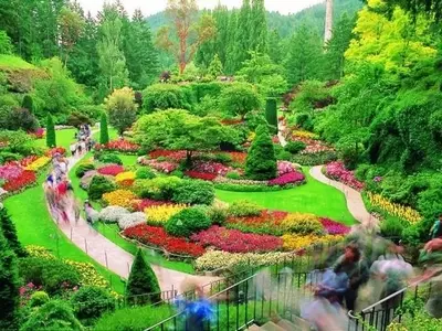 Explorando la Magnificencia de Jardines Emblemáticos Mundiales