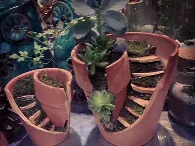 Transforma Macetas Rotas en Jardines de Hadas Encantadores