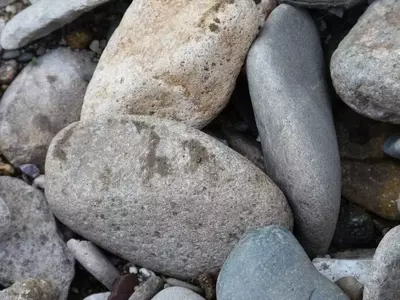 Ideas Creativas para Integrar Piedras en el Diseño de tu Jardín