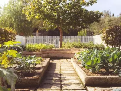 Cultivando Bienestar: El Impacto Terapéutico de la Jardinería en la Salud Integral