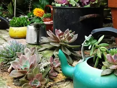 Transforma Tu Hogar: Macetas Originales con Objetos Reciclados