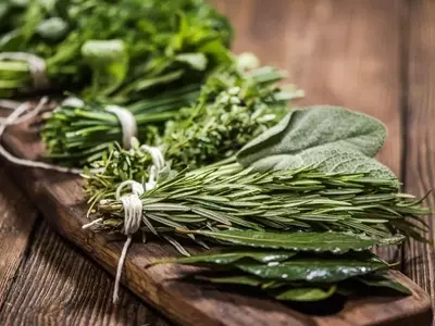 Domina el Arte del Secado y Conservación de Hierbas Aromáticas en Casa