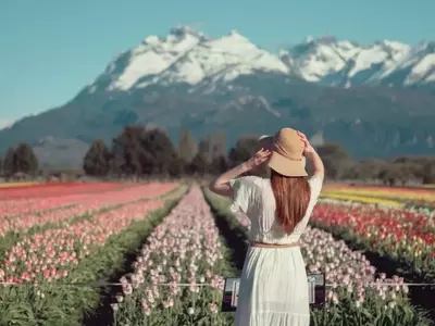 Nuevo Jardín de Tulipanes Embellecerá 28 de Julio a Orillas del Río Chubut