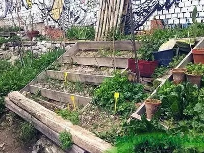 Cultivando el Bienestar: Una Guía Esencial para Huertos Caseros en Entornos Urbanos