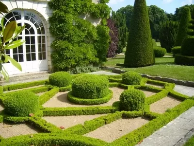 La Majestuosidad y Evolución del Jardín Francés: Un Legado de Orden y Belleza