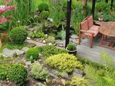 Secretos para un Jardín Resiliente: Cultivo en Climas Áridos