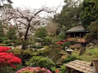 El Oasis Sereno: Desvelando los Secretos del Jardín Japonés