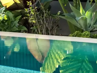 Diseño de Jardines con Piscina: Integración de Estética y Funcionalidad
