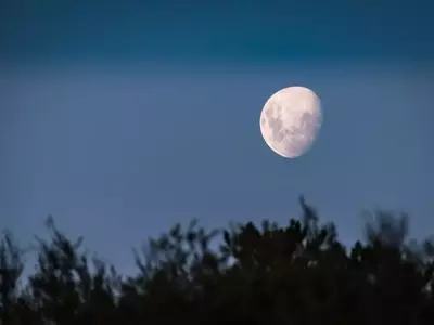 La Influencia Lunar en la Agricultura: Tradición y Ciencia en Armonía
