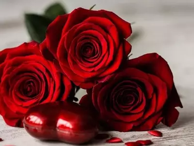 El Simbolismo Atemporal de las Rosas: Un Lenguaje Universal de Emociones