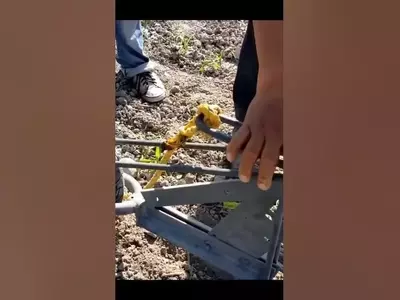 Innovación Rural: Soluciones Prácticas y Ecológicas para el Campo