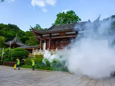 China's Aggressive Stance Against Chikungunya Outbreak: A Detailed Look