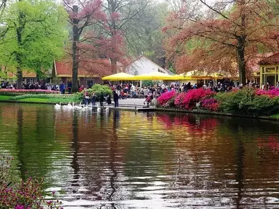 Keukenhof: El Espectáculo Floral Más Impresionante de Europa