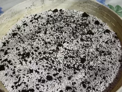 Perlita y Vermiculita: Elementos Clave para un Cultivo Exitoso