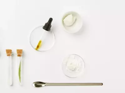 Aloe Vera: Un Tesoro Natural para la Salud y el Bienestar