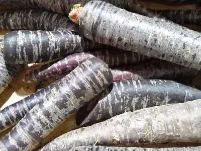 La Zanahoria Negra: Un Superalimento Morado con Propiedades Sorprendentes