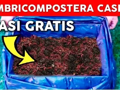 Creando un Vermicompostador Casero: Transformando Residuos en Fertilizante Ecológico