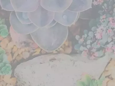 Adelfa: Belleza Enigmática y Precauciones Esenciales
