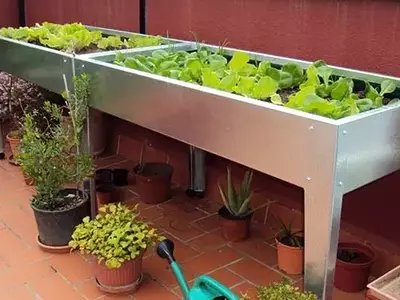 Cultivo en Mesas Elevadas: Una Solución Versátil para Tu Huerto Urbano