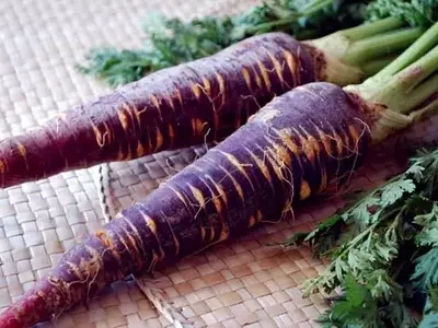 El fascinante origen y resurgimiento de la zanahoria morada