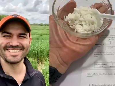 Avances Genómicos Impulsan la Calidad del Grano en Cultivos Básicos