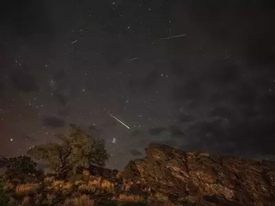 Perseids Meteor Shower Diminished by Full Moon's Glow