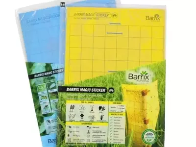 Control de Plagas en Plantas: La Eficacia de las Trampas Cromáticas