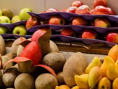 Mamey: La Fruta Tropical de Múltiples Facetas