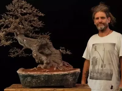 Festival Aniversario de Bonsái en Trevelin: Un Encuentro con el Arte y la Naturaleza