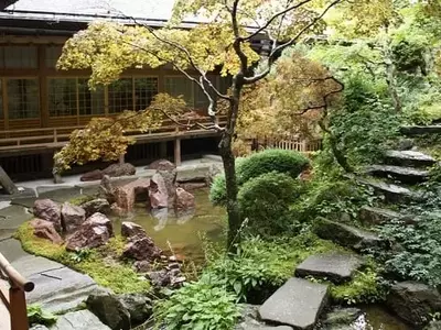 Diseño de Jardines Rocosos: Creando Belleza Natural con Plantas y Piedras