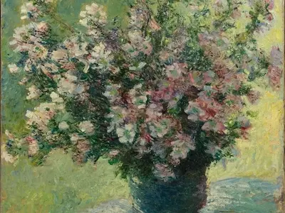 A Journey into Blurred Vision: Discovering Monet's World Through My Own Eyes