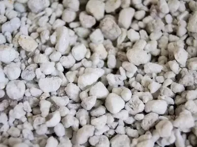 Perlita: El Mineral Versátil que Transforma la Jardinería y la Construcción