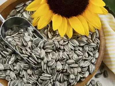 Las Maravillas de las Semillas de Girasol: Desde su Cultivo hasta sus Beneficios y Desafíos